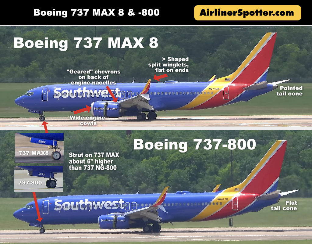 Boeing 737 MAX 8 and 737-800 Side-by-Side Comparison Boeing 737 MAX 8 and 737-800 Side-by-Side Comparison
